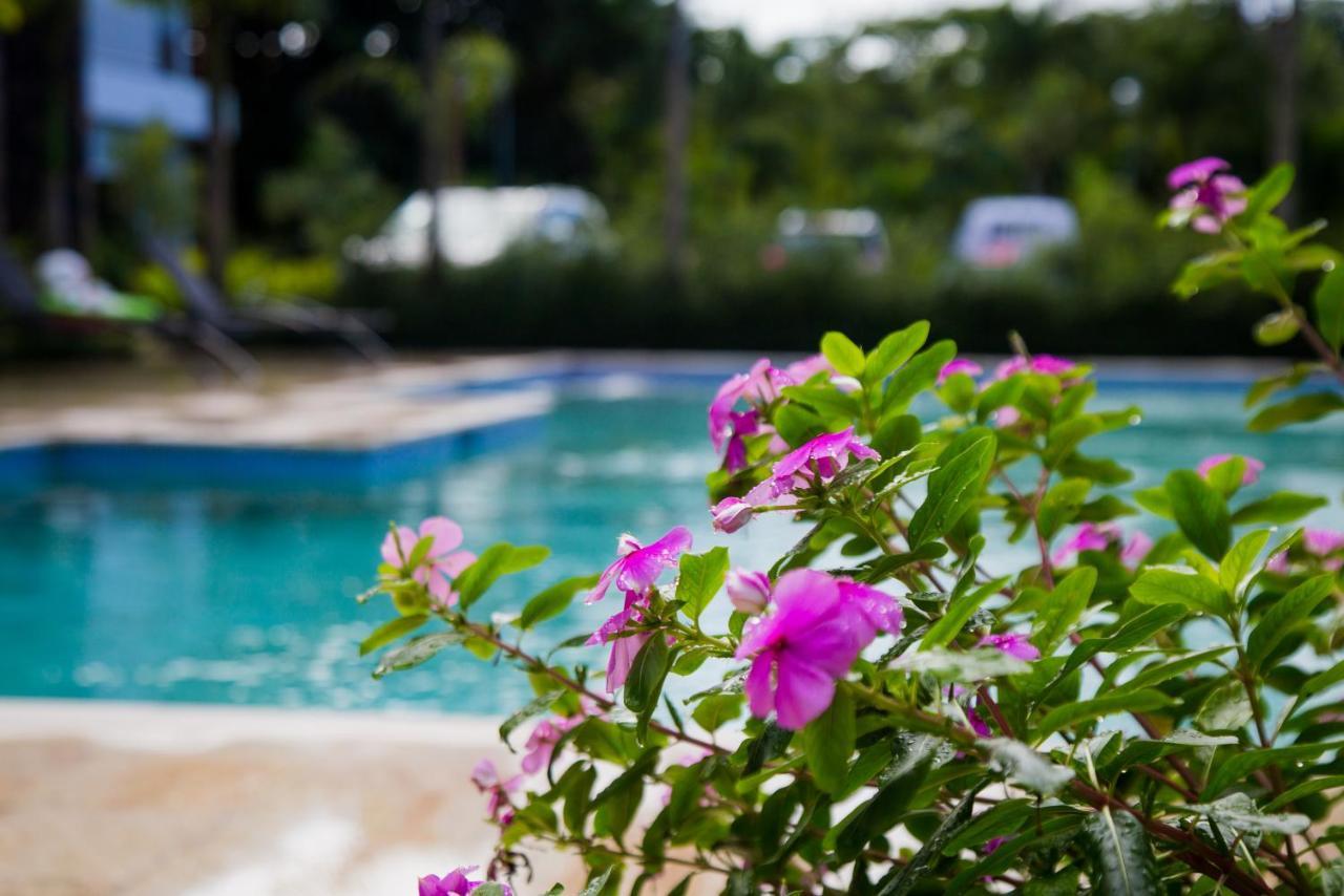 Burungos Place At Saman Residences C-2 Las Terrenas Exterior photo